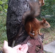 Изменение цен с 17.09.2018 г.